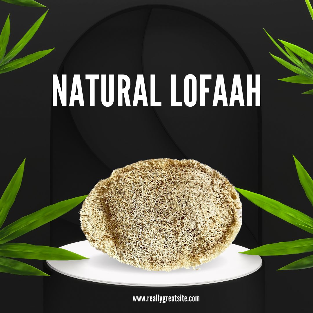 NATURAL LOOFAH SHAPES