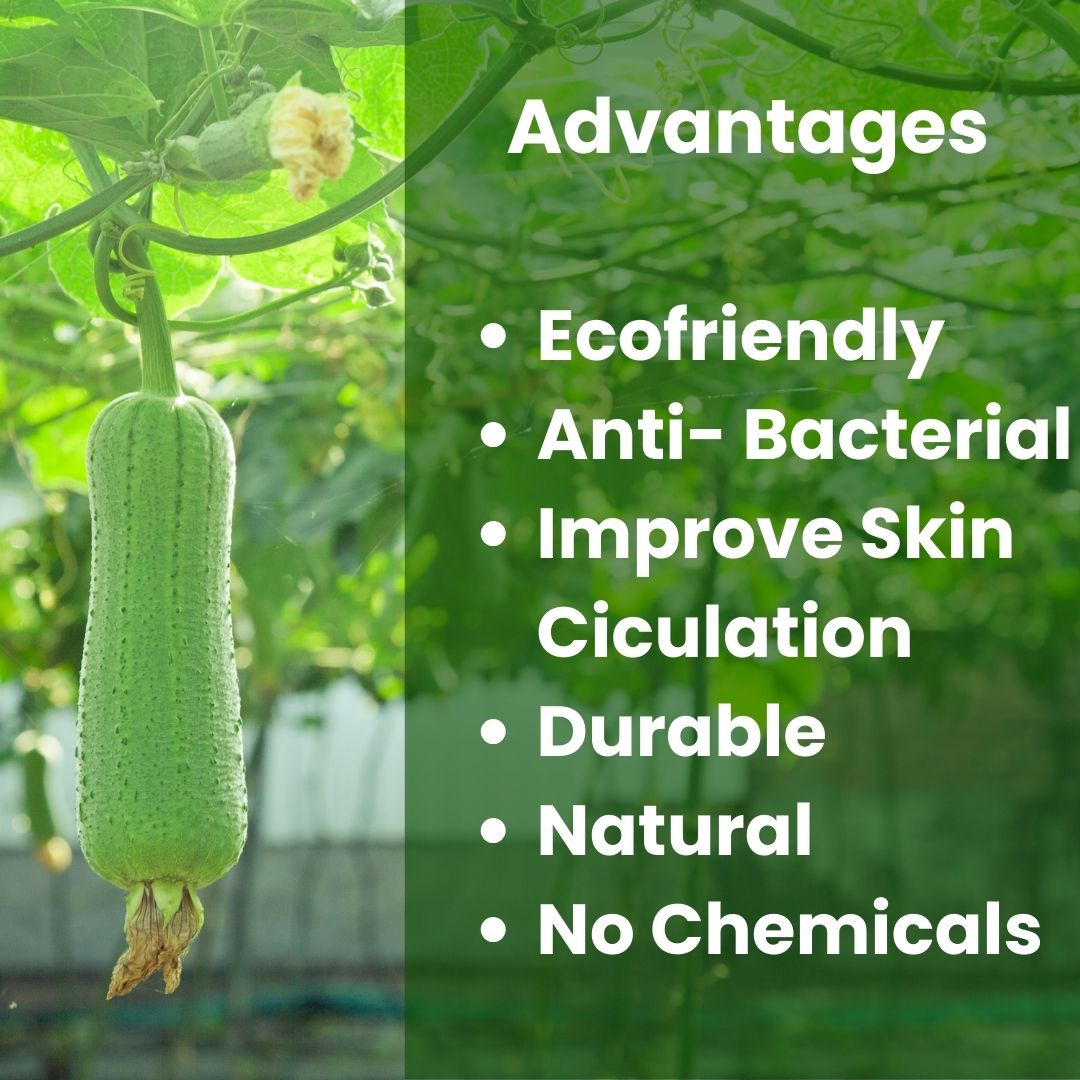 NATURAL LOOFAH SHAPES